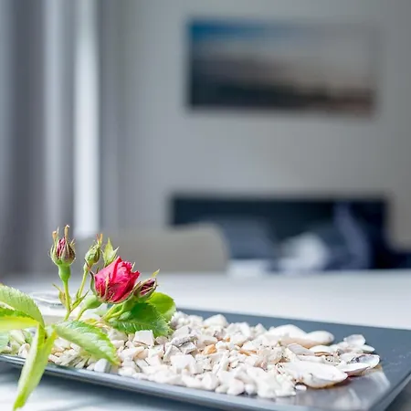 New & * Гданьск